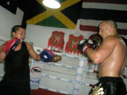 *Mixed style martial arts in Australia